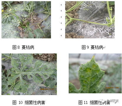 臺州農(nóng)資 臺州農(nóng)資